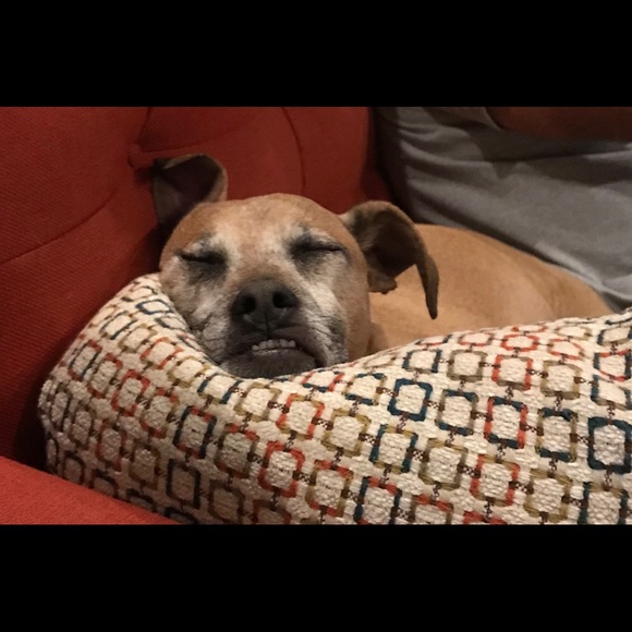 Meet your Posher, Dineen - Picture 5 of 7